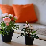 White Stone Downtown Apartman
