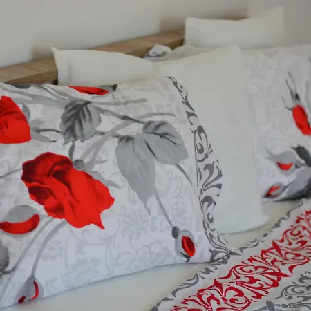 White Stone Downtown * Skopje