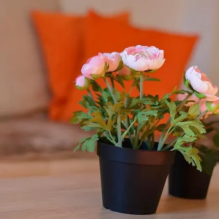 Apartment White Stone Downtown *