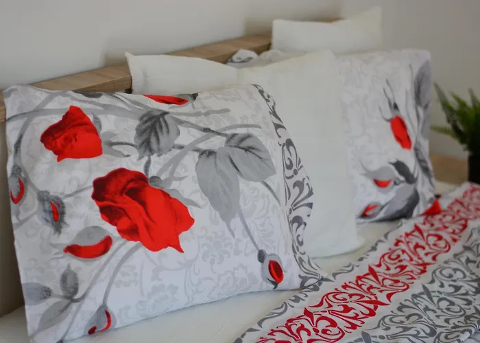 White Stone Downtown * Skopje