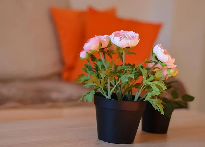 Apartment White Stone Downtown *