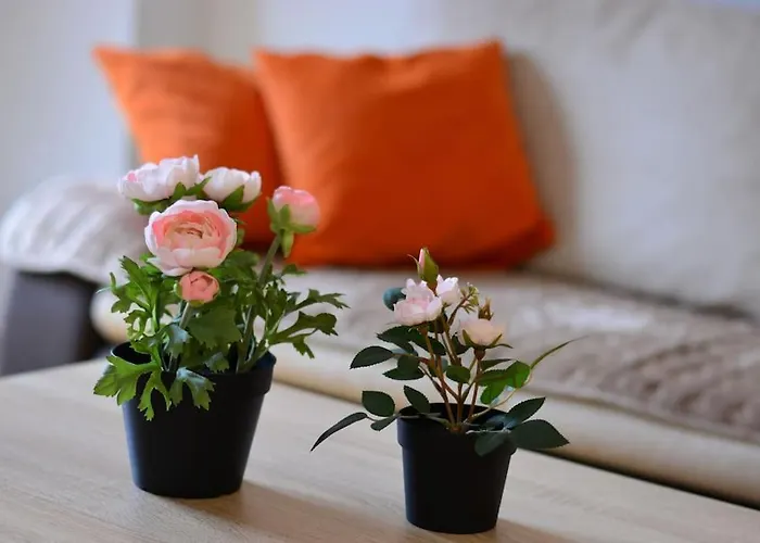 White Stone Downtown Apartment